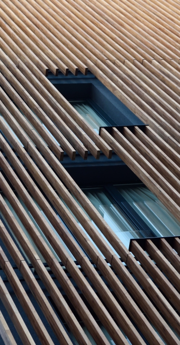 modern stripe wooden facade with windows